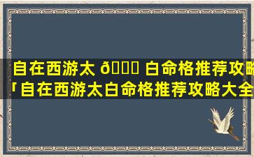 自在西游太 🐎 白命格推荐攻略「自在西游太白命格推荐攻略大全」